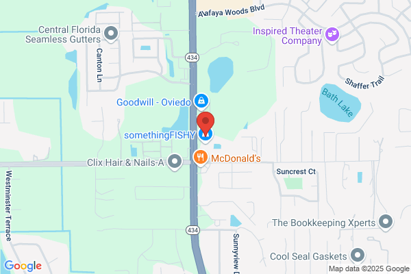 Hometown Hearing & Audiology Inc