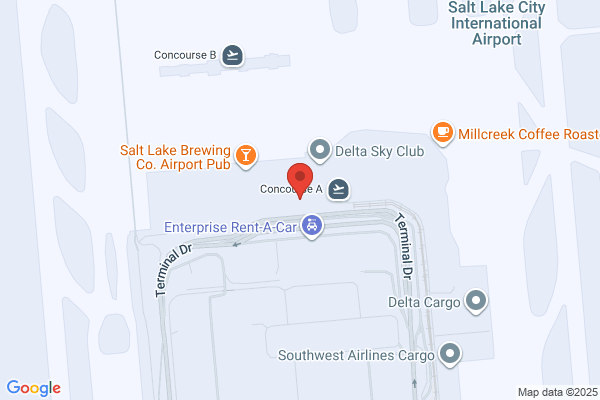 Delta Airlines