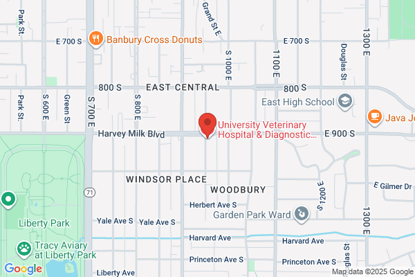 University Veterinary Hospital & Diagnostic Center