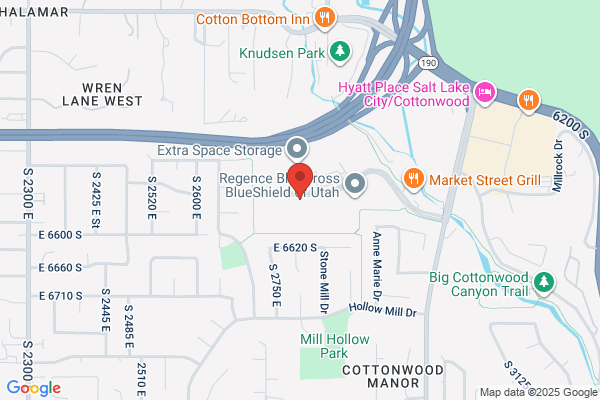 Silicon Valley Bank