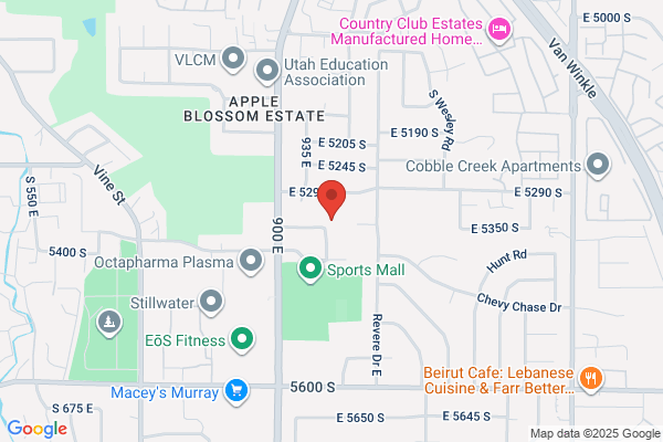 Rocky Mountain Data Control Inc