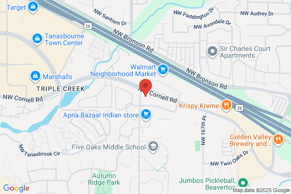 Monson Michael Attorney