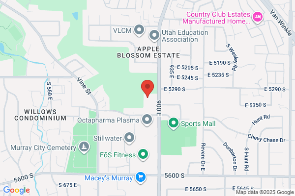 Utah Pathology Services Inc