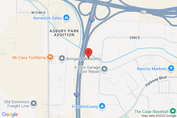 Boston Scientific