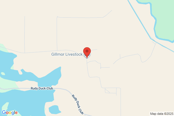 Gillmor Livestock