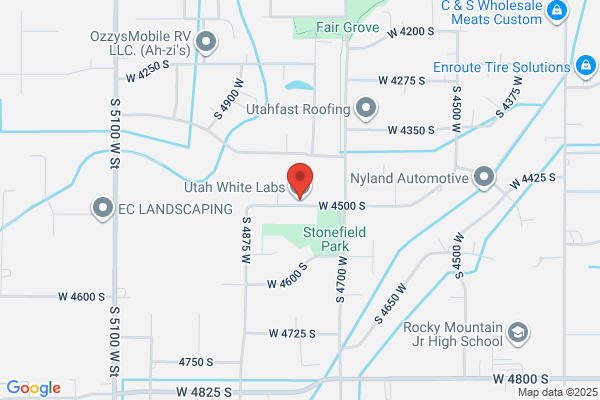 Salt Lake Labradors