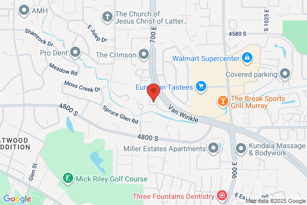 K & C TREE SERVICE EXPERTS