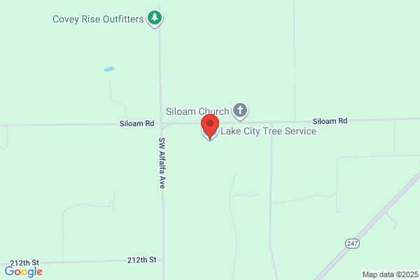 Lake City Arborists