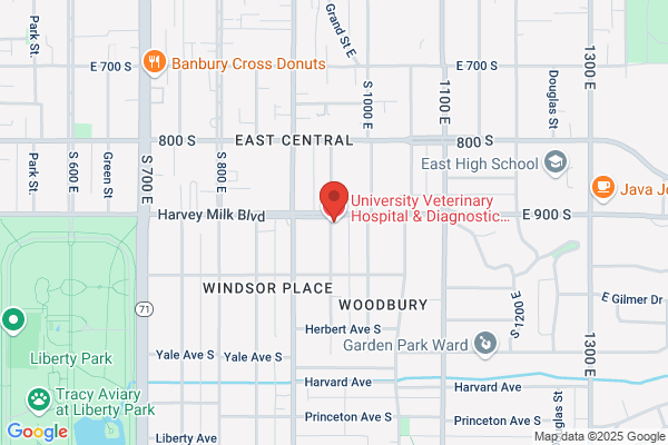 University Veterinary Hospital & Diagnostic Center