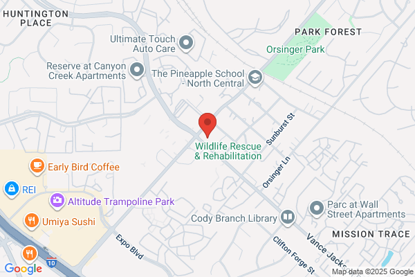 Schulze Chiropractic Center