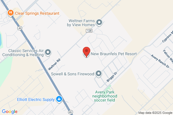 Northport Boarding Kennels