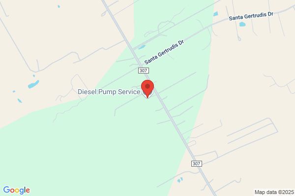 Diesel Pump Service