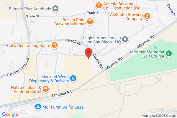 Motec Auto Body Collision