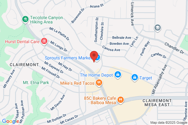 Advance Auto Parts