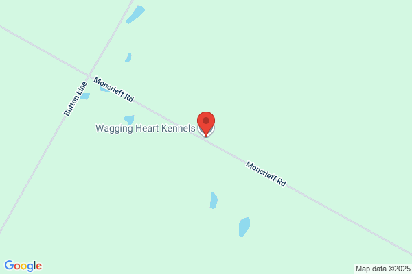 Wagging Heart