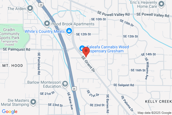 Orient Auto Repair