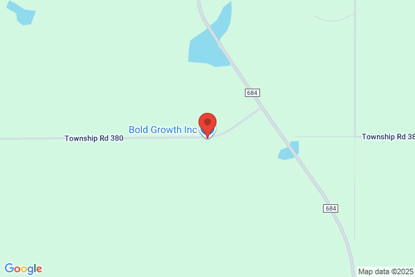Bold Growth Solutions