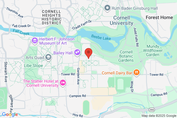 Cornell International