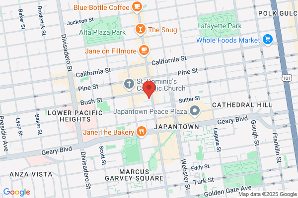 Site for Sore Eyes - SF Fillmore St