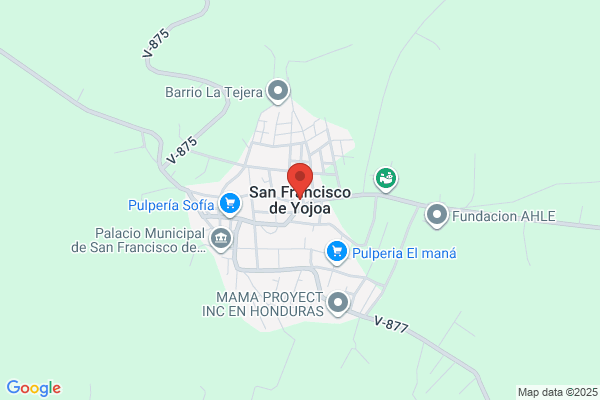 Yojoa Express