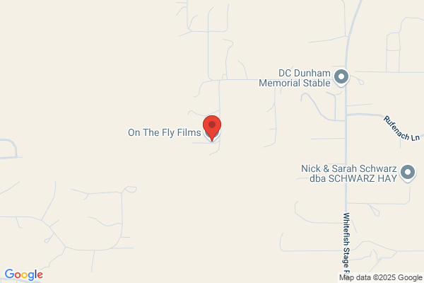 On the Fly Films