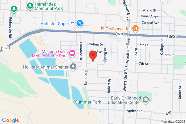 Mejia's Bay Area Services