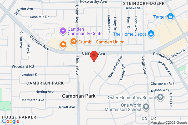 Cambrian Bowl