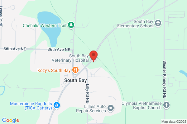 South Bay Veterinary Specialists