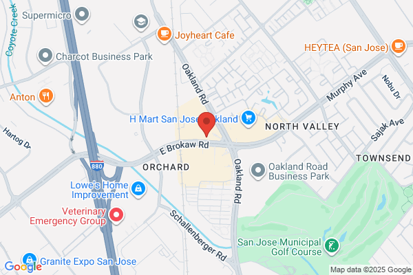 Noah's Bagels
