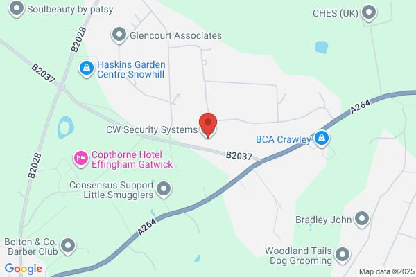 C & W Security Fire Alarm Systems