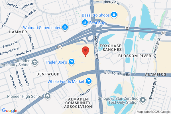 Almaden School of Music Art & Dance