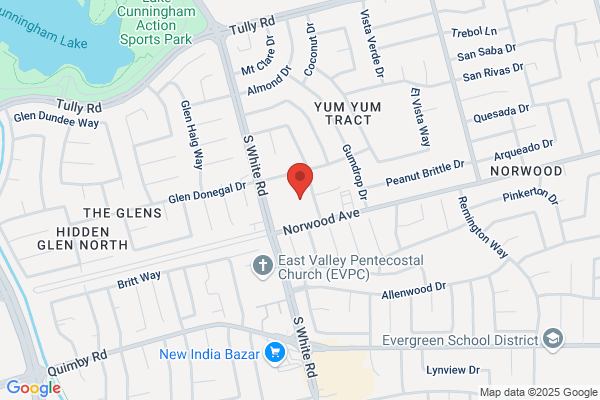 Dental Solutions - San Jose