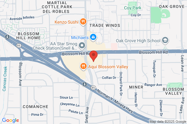 Incorporation Filing Service and Name Availability San Jose