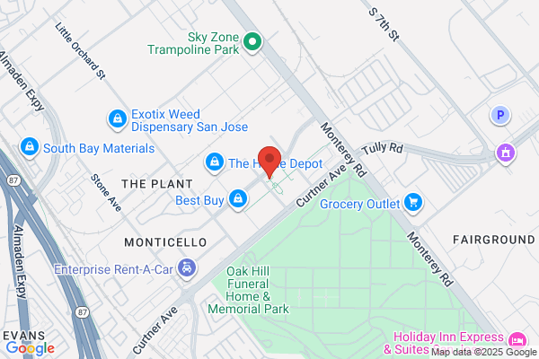 European Wax Center San Jose - The Plant