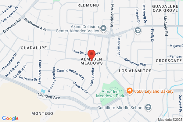 Almaden Valley Alarm