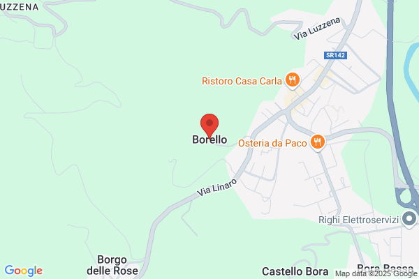 Borello Silvio E