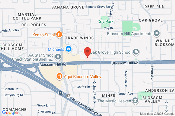 Satellite Healthcare - South San Jose