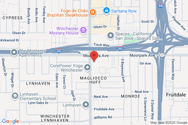 Nose Brace
