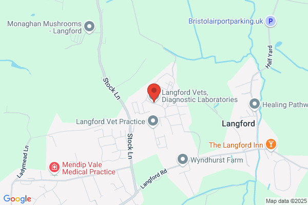 Langford's Mastic Service