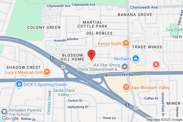 Blossom Realty