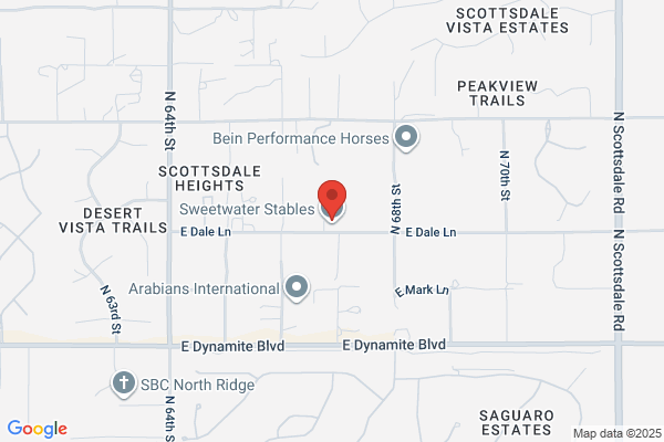 Equine Veterinary Services DVM
