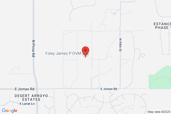 Foley James P DVM