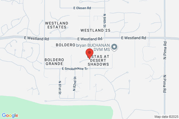 City Property Management