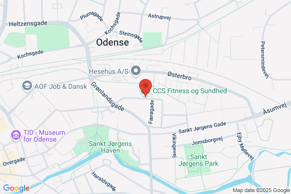 CSS Fitness