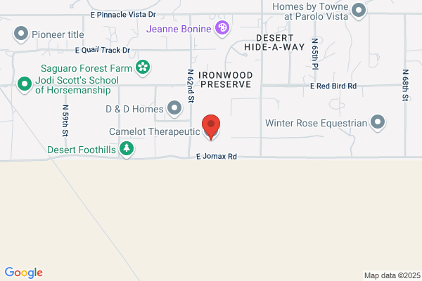 Camelot Therapeutic Horsemanship