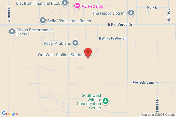 Out West Stallion Station & Performance Horses