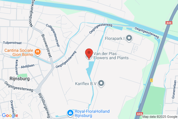 Van Der Plas Loretta PHD