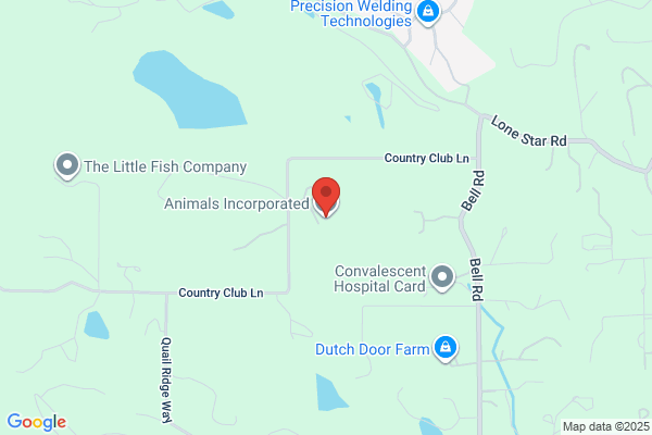 Animal Inc
