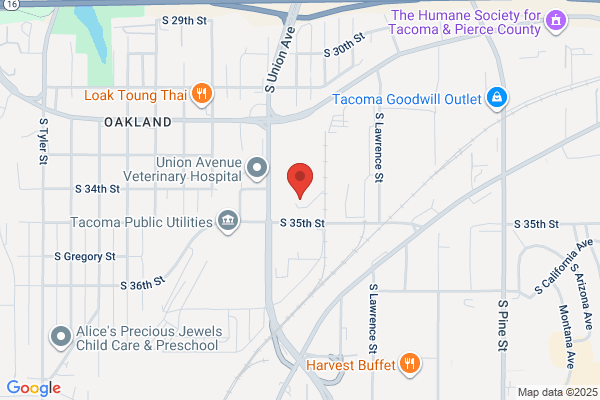 V Van Dyke Inc