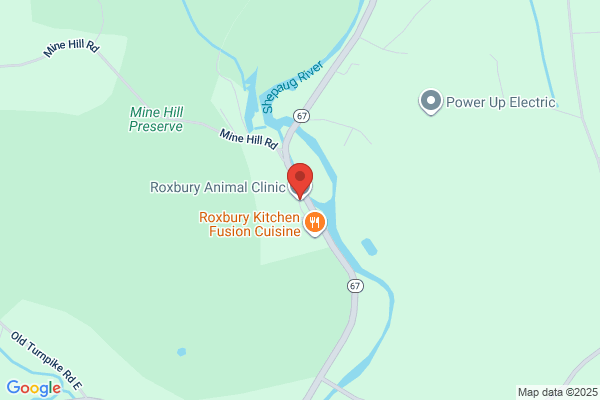 Animal Clinic of Roxbury